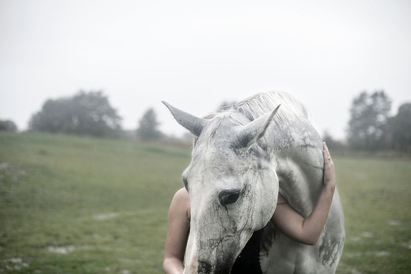 © Anita Petra Hamremoen - United