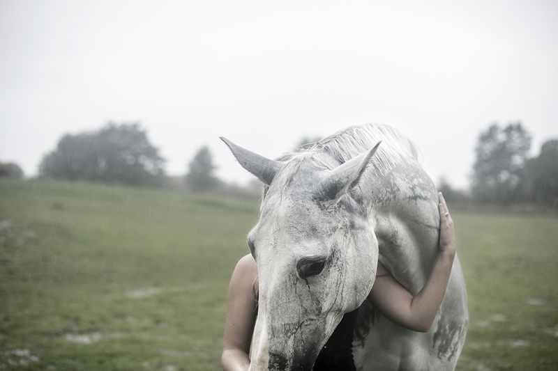 © Anita Petra Hamremoen - United