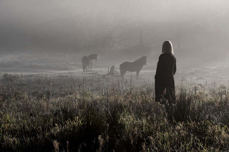 © Anita Petra Hamremoen - The Greeting