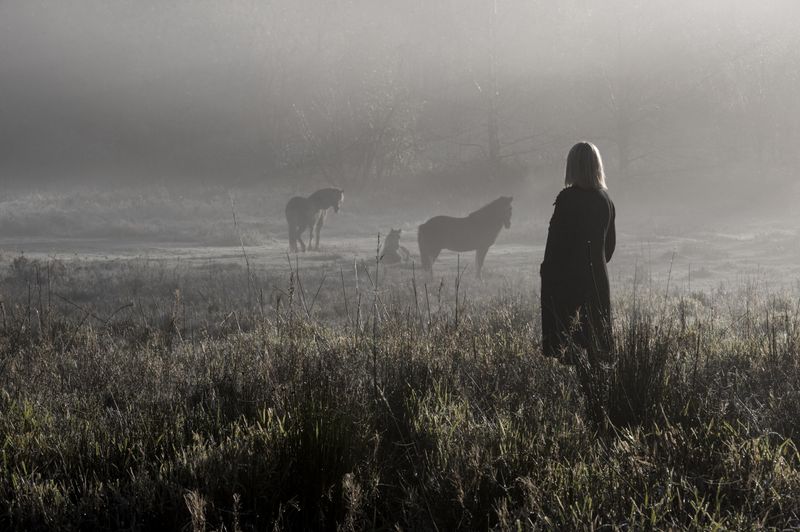 © Anita Petra Hamremoen - The Greeting