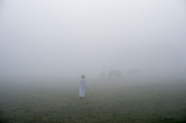 © Anita Petra Hamremoen - Bright, Bright Day