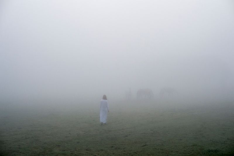 © Anita Petra Hamremoen - Bright, Bright Day