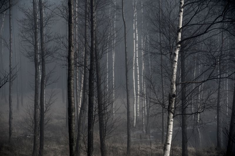 © Anita Petra Hamremoen - Time within Time