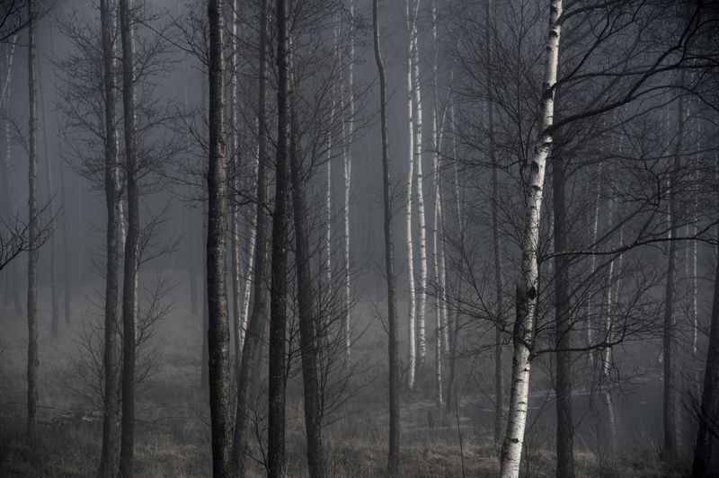 © Anita Petra Hamremoen - Time within Time