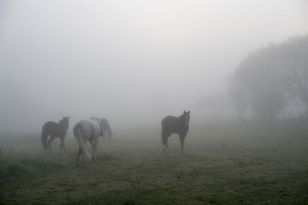 © Anita Petra Hamremoen - Light, Light morning