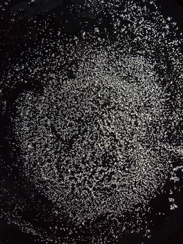 © Petra Vlčková - Multiple sclerosis in my body is scattered.