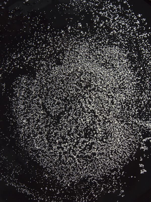 © Petra Vlčková - Multiple sclerosis in my body is scattered.