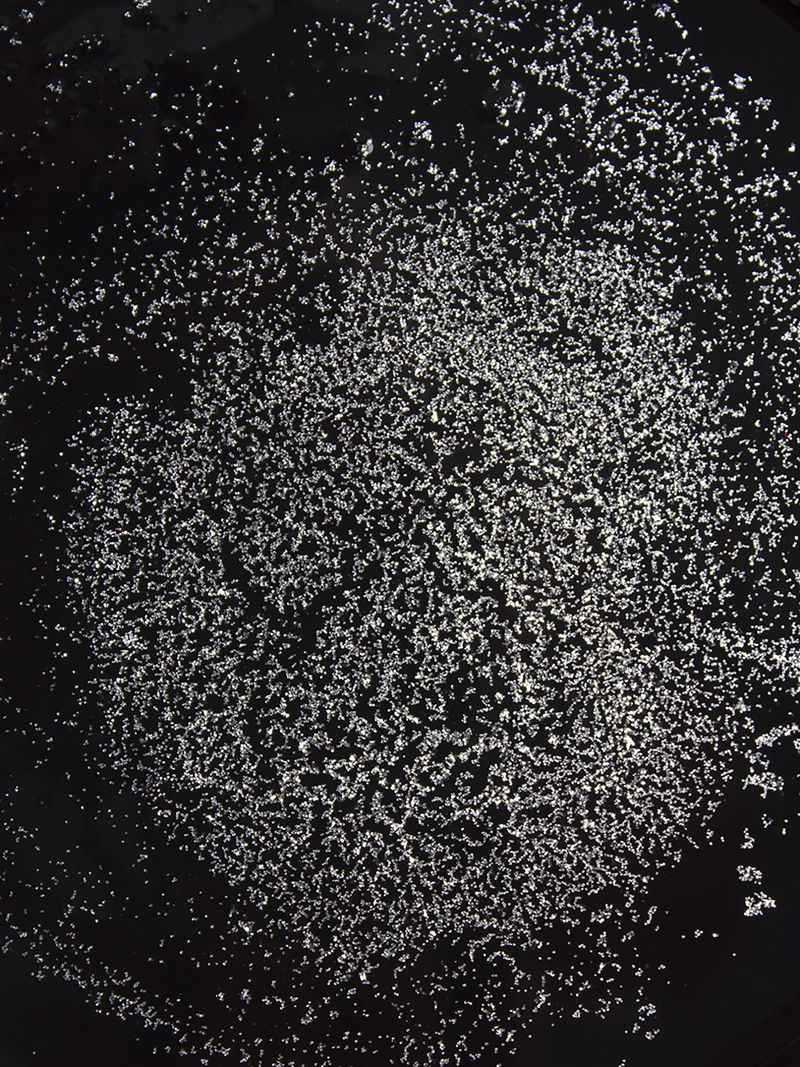 © Petra Vlčková - Multiple sclerosis in my body is scattered.