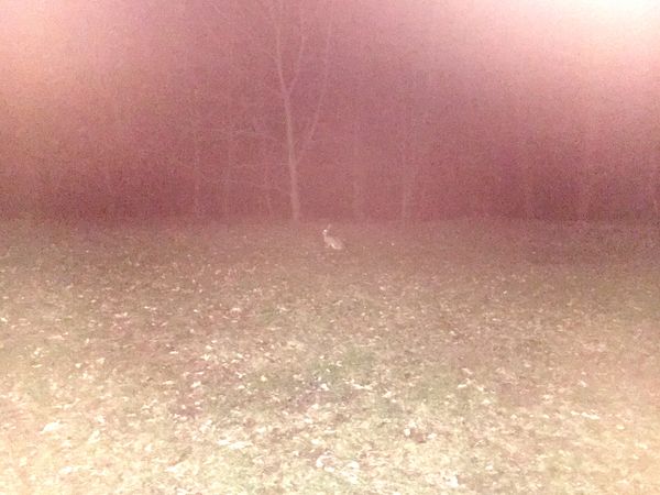 © Petra Vlčková - Image from the Sphere Dance photography project