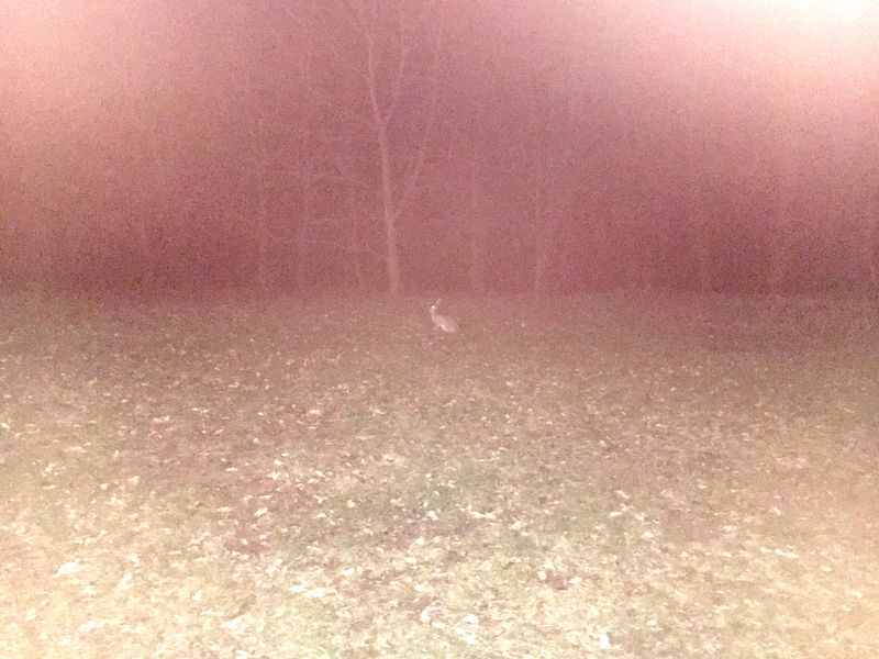 © Petra Vlčková - Image from the Sphere Dance photography project