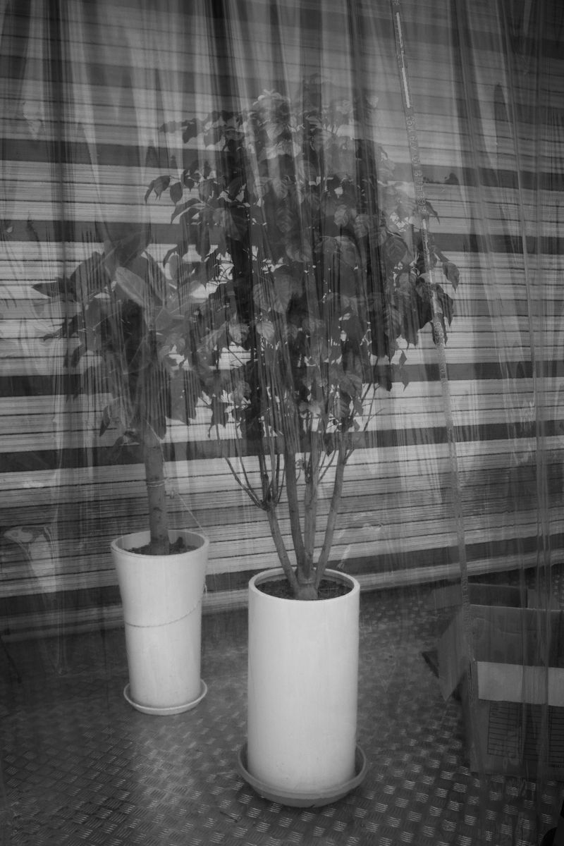 © G.S - Image from the Time, Stilled photography project