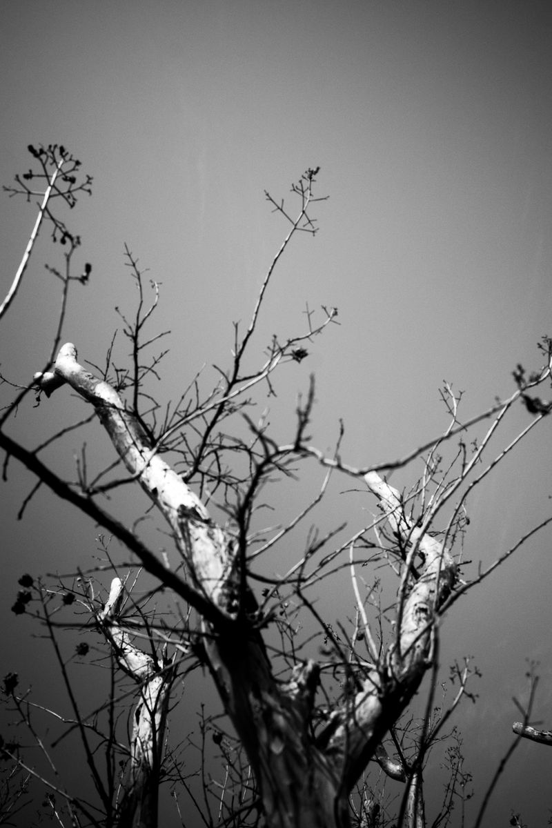 © G.S - Image from the The Dreamer photography project