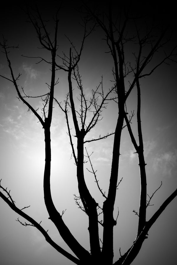 © G.S - Image from the The Dreamer photography project