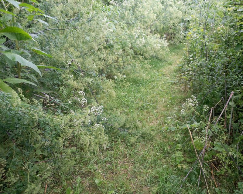 © Kaitlyn Jo Smith - Field Near Delco/Delphi (Dayton)