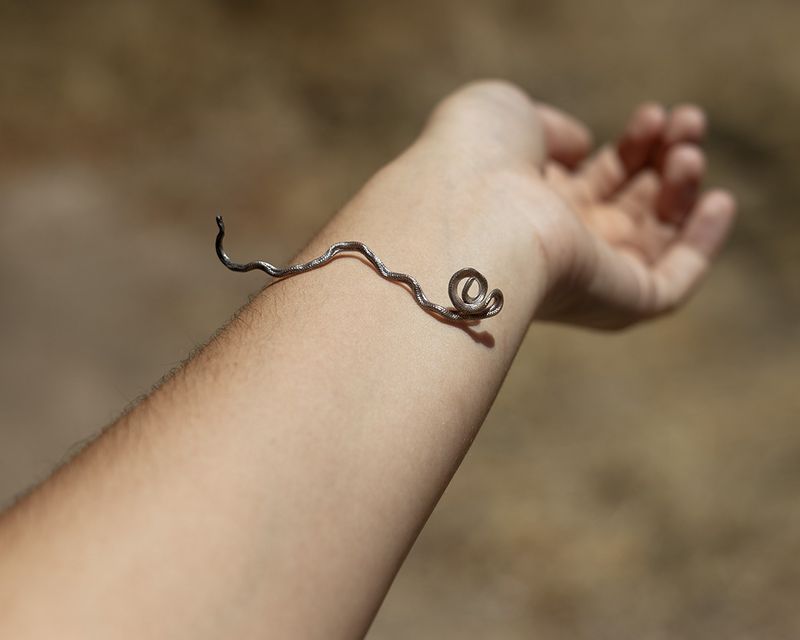 © Kaitlyn Jo Smith - Blind Snake
