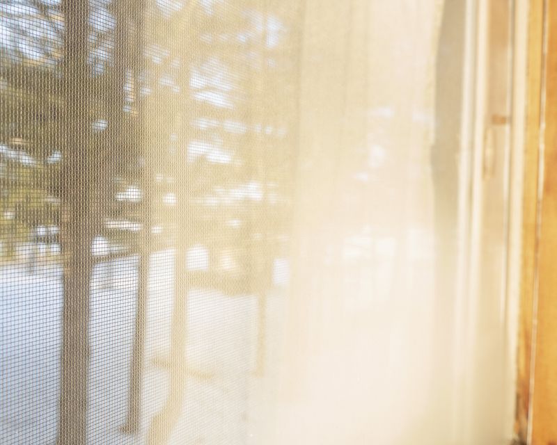© Kaitlyn Jo Smith - Grandmother's Curtains