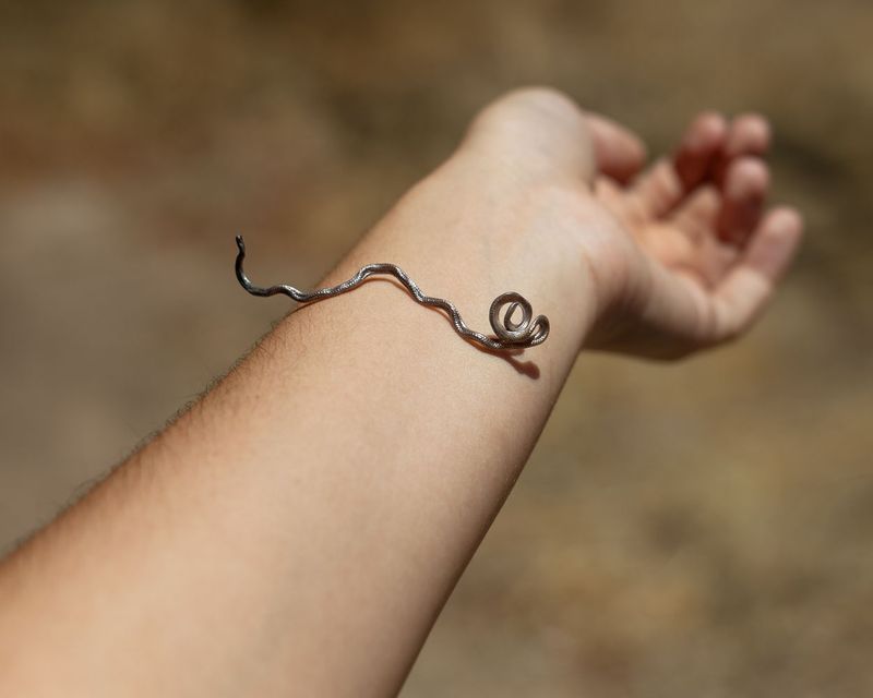 © Kaitlyn Jo Smith - Blind Snake