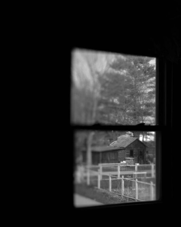 © Kaitlyn Jo Smith - View of Father's From Mother's