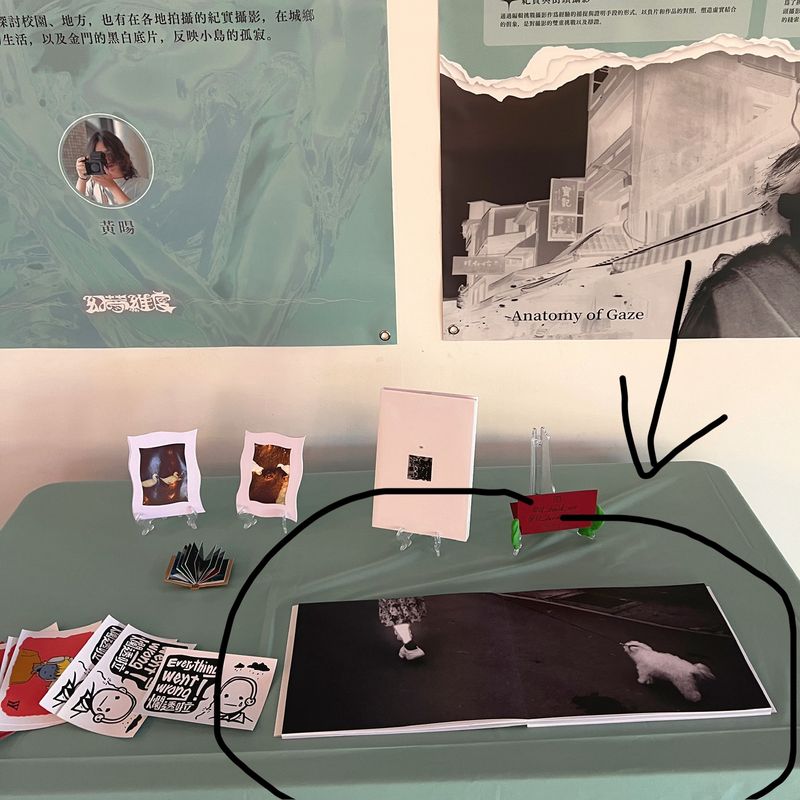 © 暘 黃 - Anatomy of Gaze (A) in real life setting