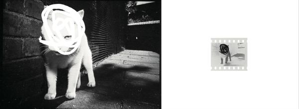 © 暘 黃 - Image from the Anatomy of Gaze (A) photography project