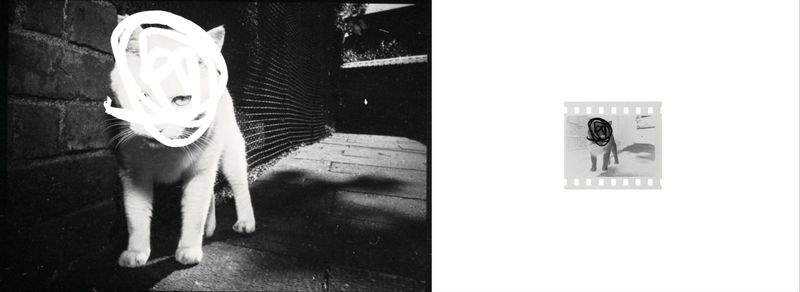 © 暘 黃 - Image from the Anatomy of Gaze (A) photography project