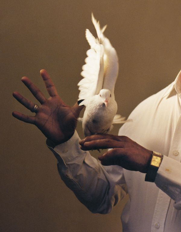 Tara L. C. Sood, 'The Great Mandrake Convention'