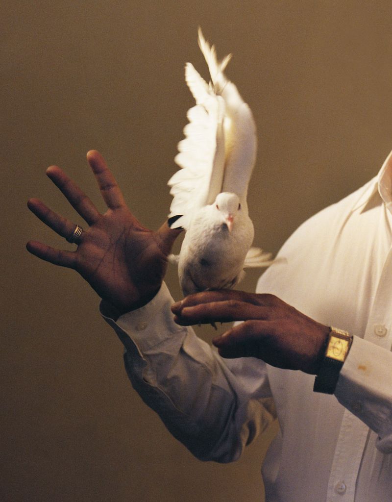 Tara L. C. Sood, 'The Great Mandrake Convention'