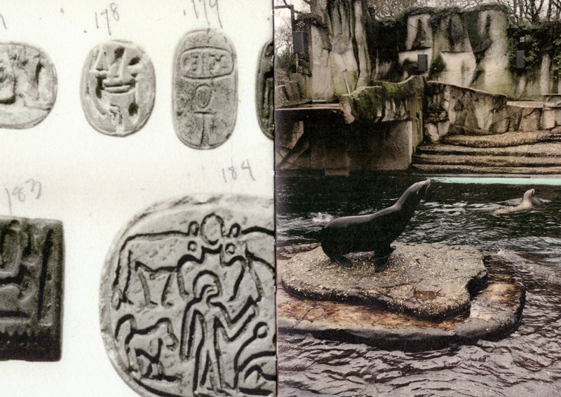 Allegra Baggio Corradi, 'Homographs'