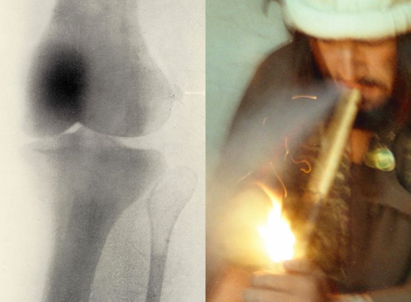 Allegra Baggio Corradi, 'Homographs'