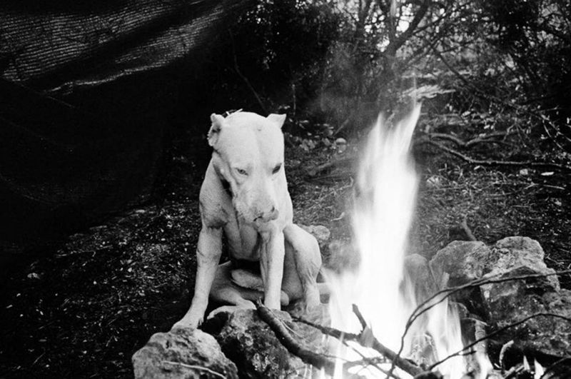 © Tomeu Coll - Image from the BADLANDS photography project