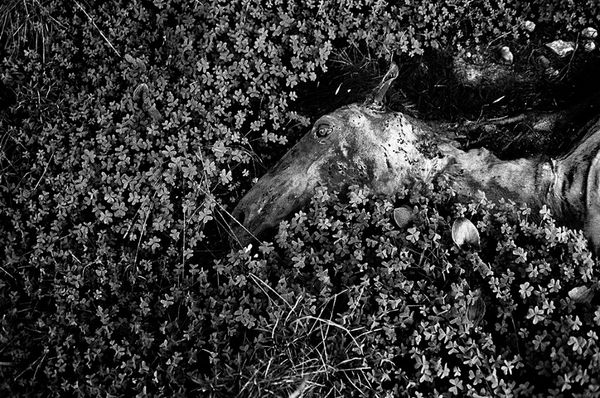 © Tomeu Coll - Image from the BADLANDS photography project