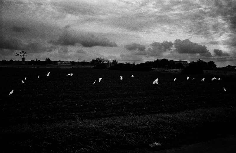 © Tomeu Coll - Image from the BADLANDS photography project