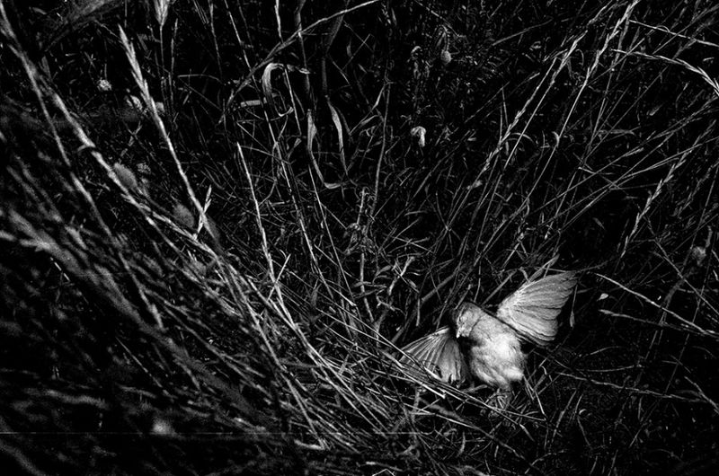 © Tomeu Coll - Image from the BADLANDS photography project