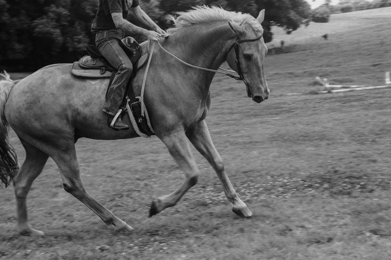 © Shannon Cavarocchi - Image from the Horse Girl photography project