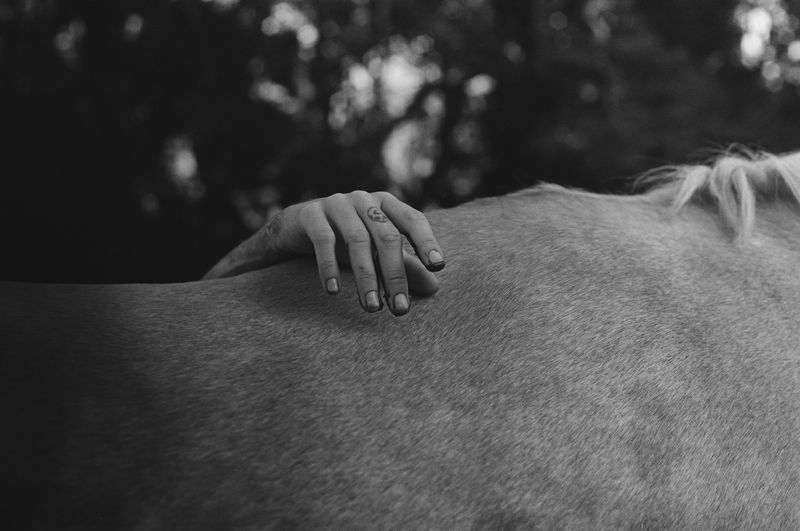 © Shannon Cavarocchi - Image from the Horse Girl photography project