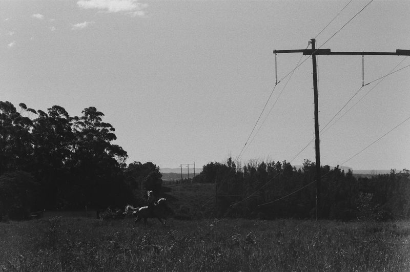 © Shannon Cavarocchi - Image from the Horse Girl photography project