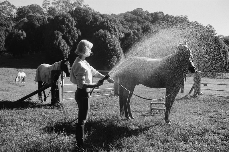 © Shannon Cavarocchi - Image from the Horse Girl photography project