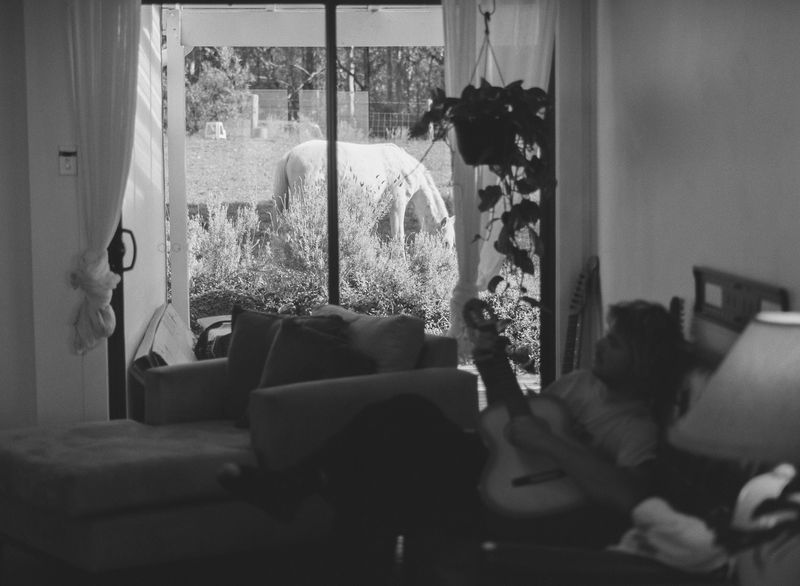 © Shannon Cavarocchi - Image from the Horse Girl photography project