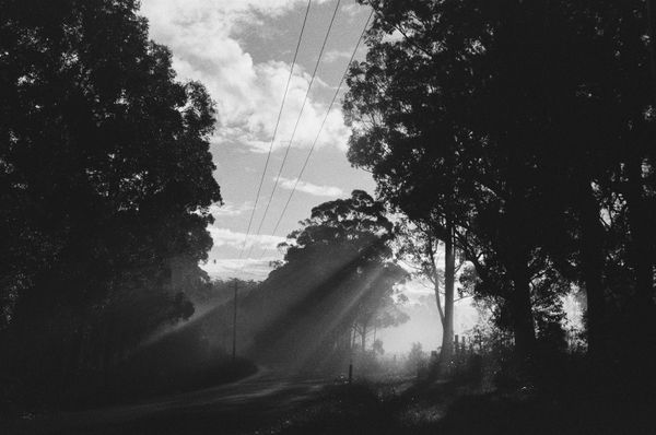 © Shannon Cavarocchi - Image from the Horse Girl photography project