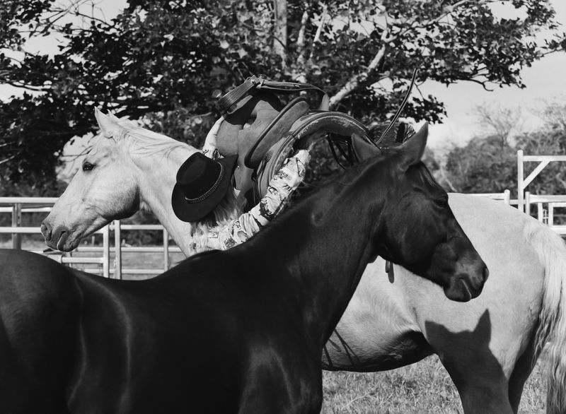 © Shannon Cavarocchi - Image from the Horse Girl photography project