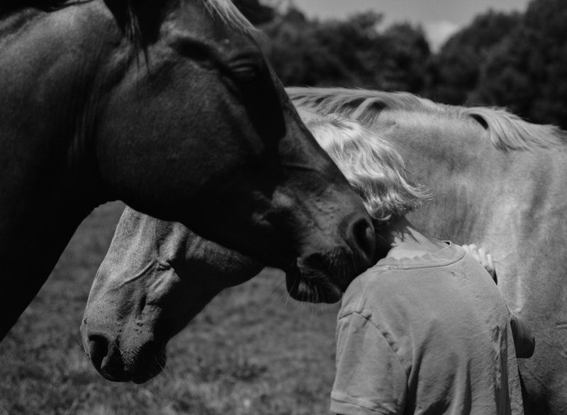 © Shannon Cavarocchi - Image from the Horse Girl photography project