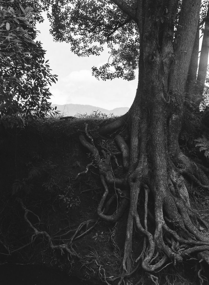 © Shannon Cavarocchi - Image from the Song for the Siren photography project