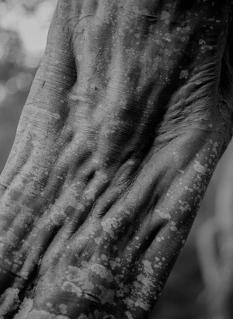 © Shannon Cavarocchi - Image from the Song for the Siren photography project