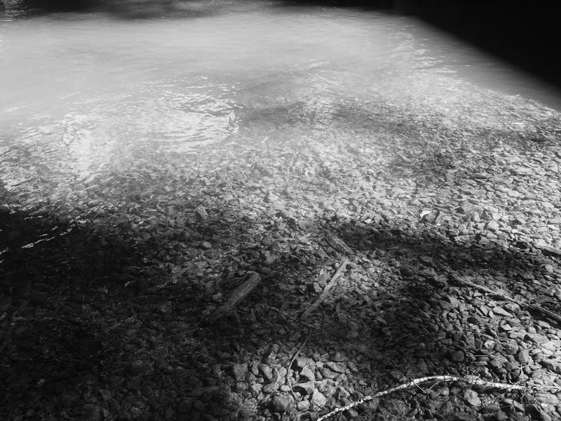 © Shannon Cavarocchi - Image from the Song for the Siren photography project