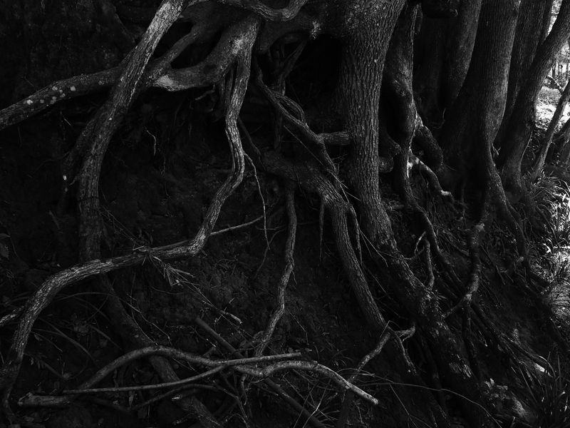 © Shannon Cavarocchi - Image from the Song for the Siren photography project