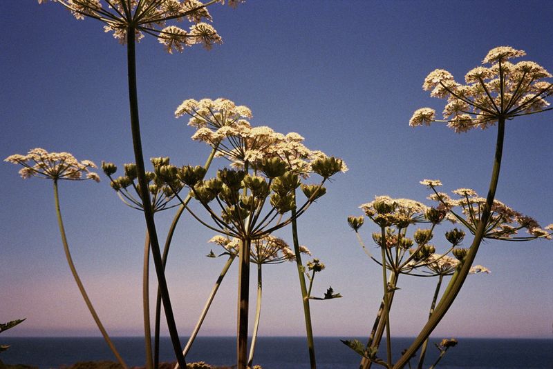 © Alina Potapenko - Image from the Take me home, country roads photography project