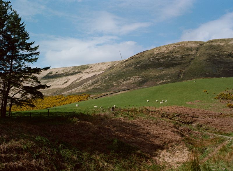 © Alina Potapenko - Image from the Take me home, country roads photography project