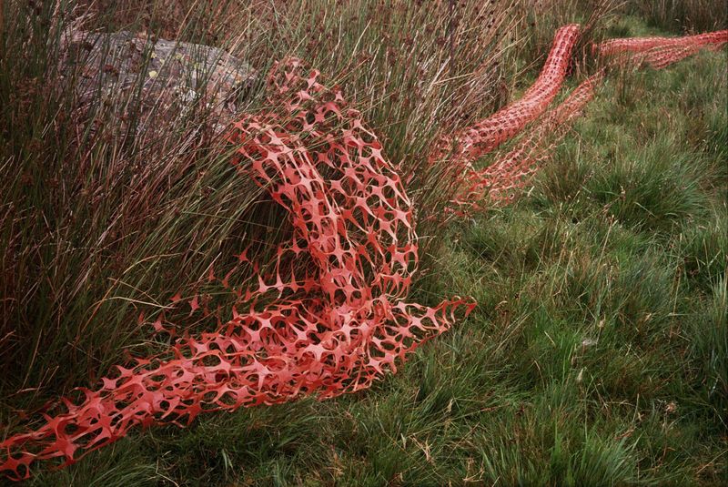 © Alina Potapenko - Image from the Take me home, country roads photography project