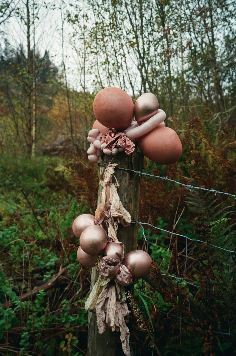 © Alina Potapenko - Image from the Take me home, country roads photography project