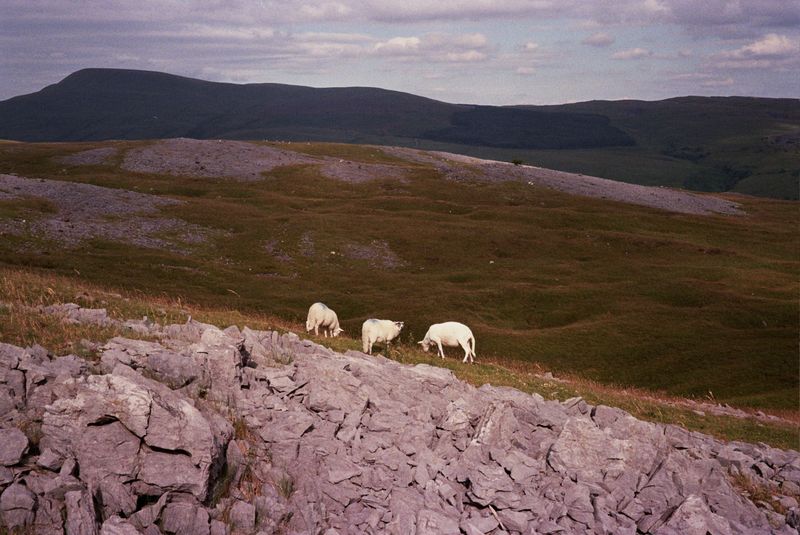© Alina Potapenko - Image from the Take me home, country roads photography project